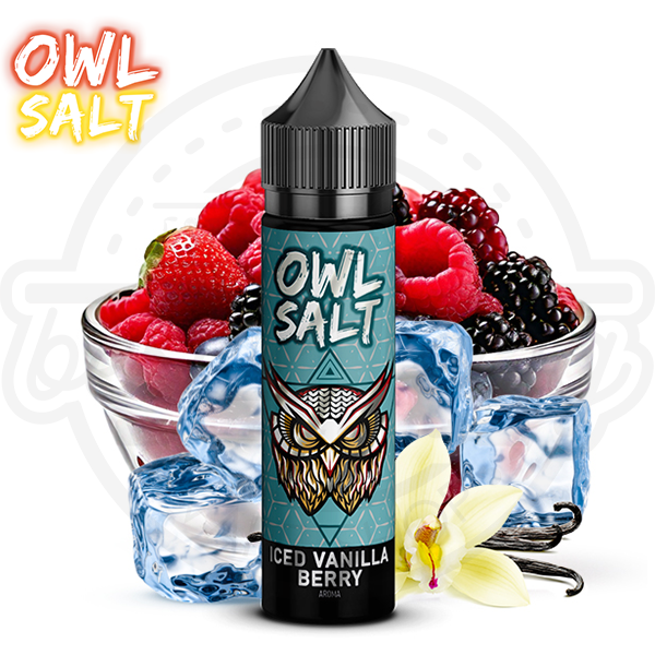 OWL Salt Aroma Overdosed Iced Vanilla Berry 10ml