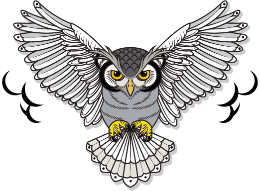 Owl Salt Owl Salt