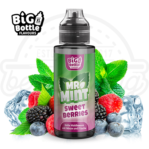 Big Bottle Mr. Mint Aroma Sweet Berries 10ml