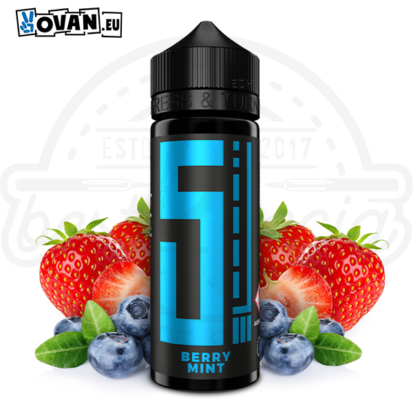 5 Elements Aroma Berry Mint 10ml